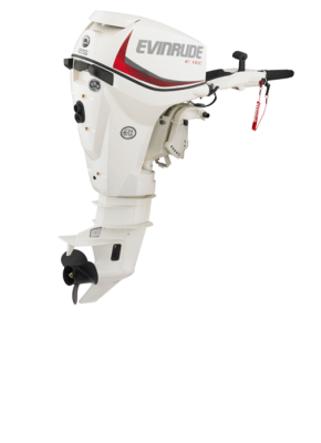 Мотор лодочный Evinrude E 25 DTL