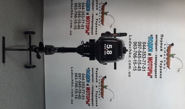 Мотор лодочный Parsun T5,8BMS