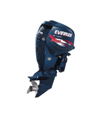 Мотор лодочный Evinrude E 115 DBX