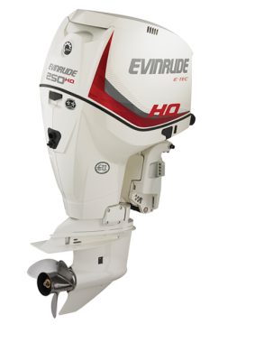 Мотор лодочный Evinrude E 250 CX ICON