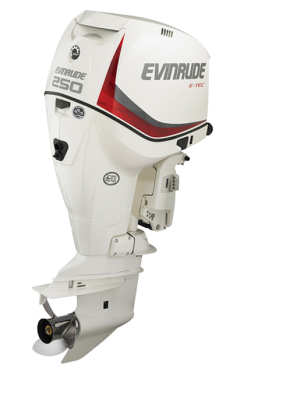 Мотор лодочный Evinrude E 250 CZ ICON